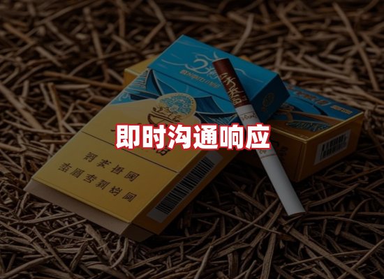 专业团队